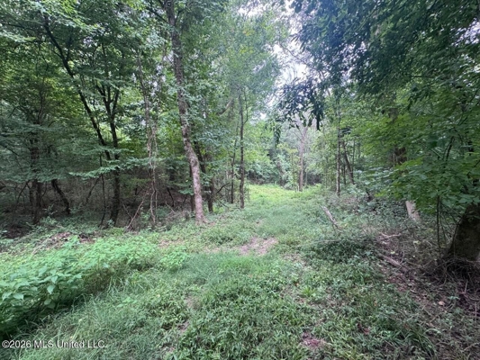 98± Acres in Natchez, MS on Second Creek