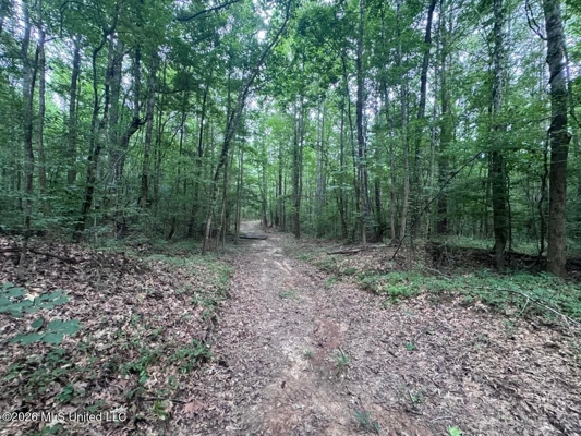 98± Acres in Natchez, MS on Second Creek