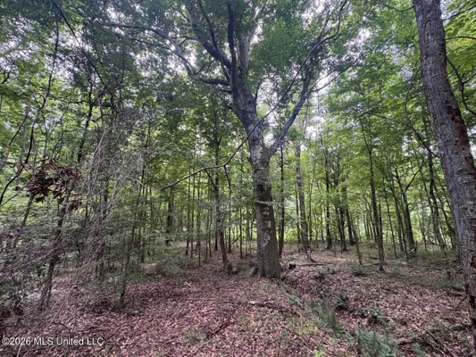 98± Acres in Natchez, MS on Second Creek