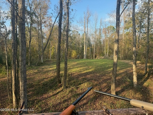 98± Acres in Natchez, MS on Second Creek