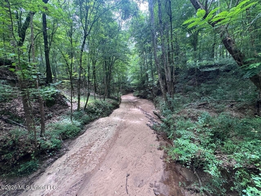 98± Acres in Natchez, MS on Second Creek