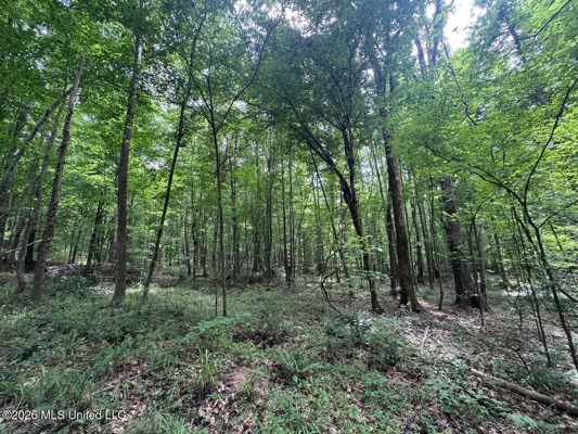 98± Acres in Natchez, MS on Second Creek