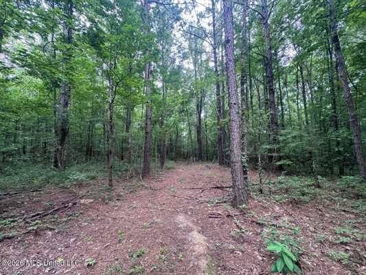 98± Acres in Natchez, MS on Second Creek