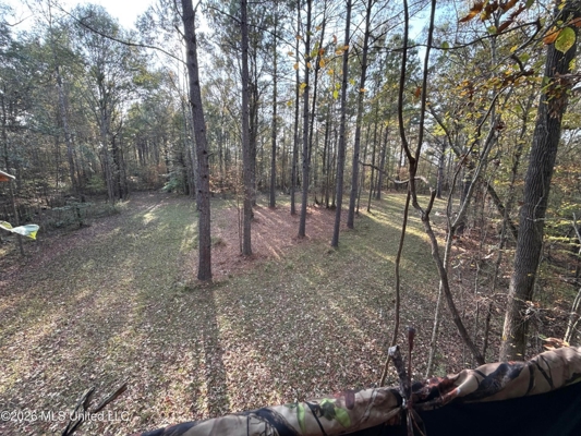 98± Acres in Natchez, MS on Second Creek