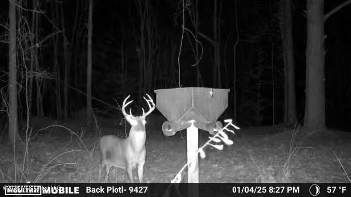 98± Acres in Natchez, MS on Second Creek