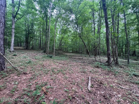 98± Acres in Natchez, MS on Second Creek