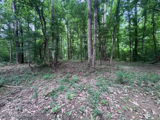 98± Acres in Natchez, MS on Second Creek