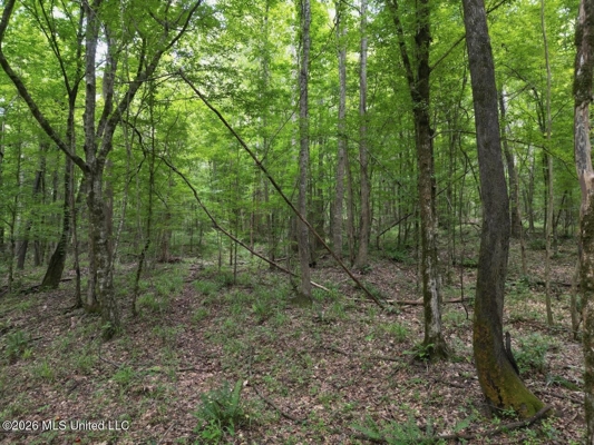 98± Acres in Natchez, MS on Second Creek