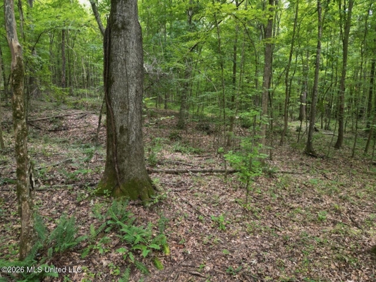 98± Acres in Natchez, MS on Second Creek