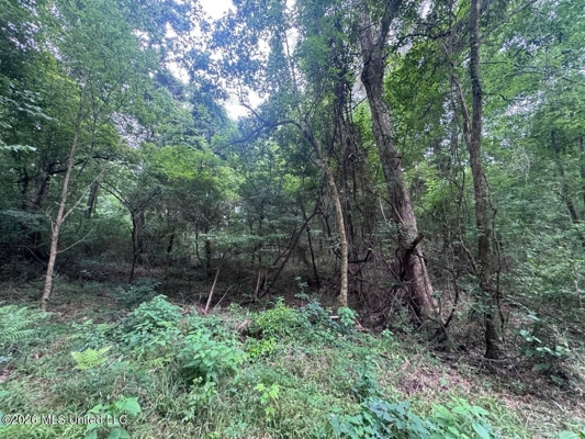 98± Acres in Natchez, MS on Second Creek