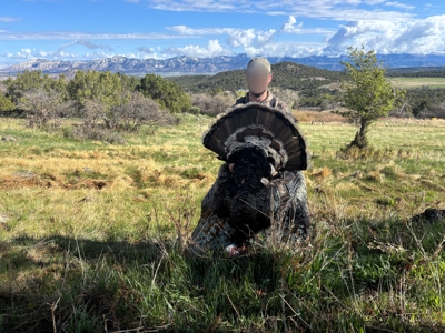 882± Acre Off-Grid Mountain, Hunting & Cattle Ranch Near Collbran - image 49