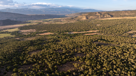 882± Acre Off-Grid Mountain, Hunting & Cattle Ranch Near Collbran - image 23
