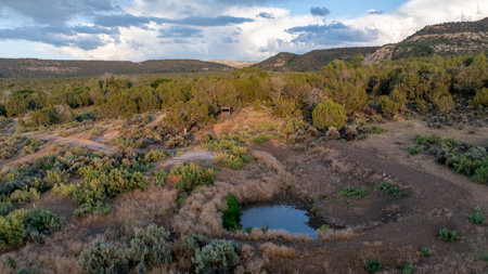882± Acre Off-Grid Mountain, Hunting & Cattle Ranch Near Collbran - image 20
