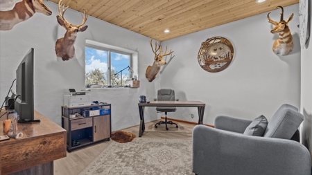 882± Acre Off-Grid Mountain, Hunting & Cattle Ranch Near Collbran - image 37