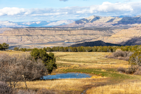 882± Acre Off-Grid Mountain, Hunting & Cattle Ranch Near Collbran - image 11