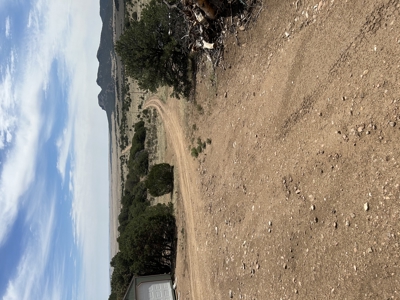 Newly Constructed Log Cabin on 168 Acres | Black Hills Subdivisio - image 27