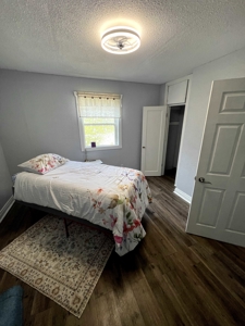 Remodeled Home & Commercial Building for Sale in Bunker, MO - image 12