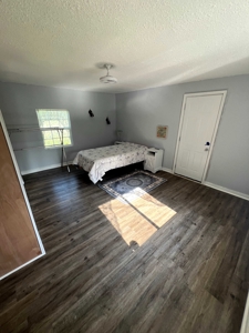 Remodeled Home & Commercial Building for Sale in Bunker, MO - image 13