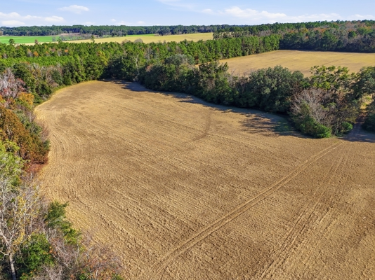 39.91-acres - High Springs, FL - Productive Land - Natural Beauty