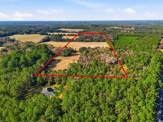 39.91-acres - High Springs, FL - Productive Land - Natural Beauty