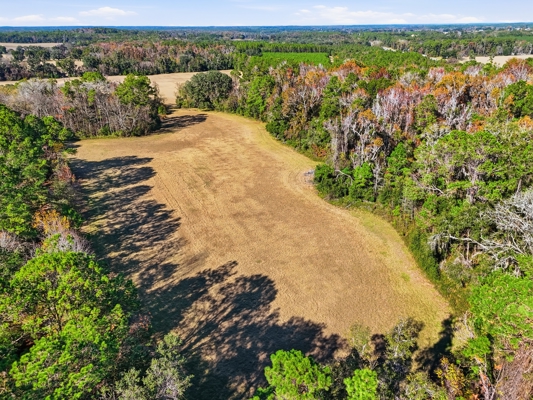 39.91-acres - High Springs, FL - Productive Land - Natural Beauty