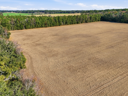 39.91-acres - High Springs, FL - Productive Land - Natural Beauty