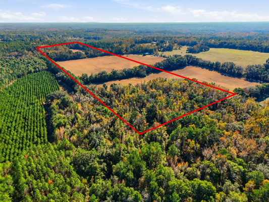 39.91-acres - High Springs, FL - Productive Land - Natural Beauty