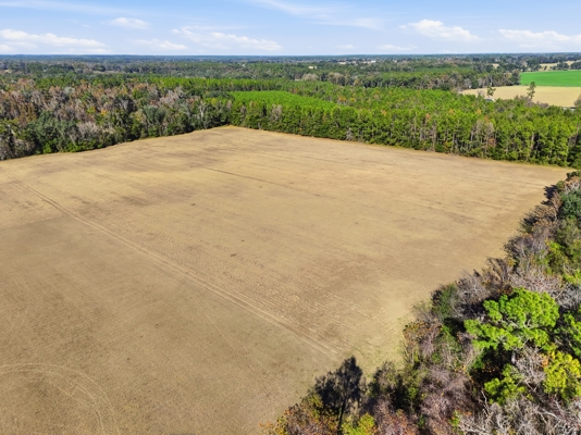 39.91-acres - High Springs, FL - Productive Land - Natural Beauty