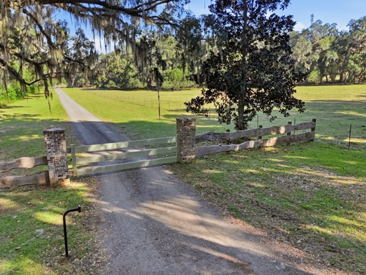 39.91-acres - High Springs, FL - Productive Land - Natural Beauty