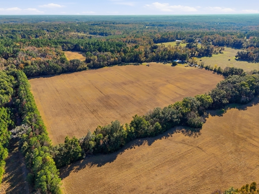 39.91-acres - High Springs, FL - Productive Land - Natural Beauty