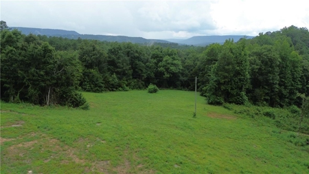 Country Home on 11.64 Ac Bordering Buffalo Natl River For Sale - image 4