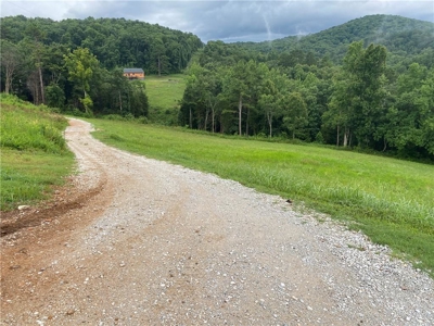 Country Home on 11.64 Ac Bordering Buffalo Natl River For Sale - image 46