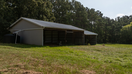 East Texas Recreational Hunting Timberland for Sale Laneville TX - image 43