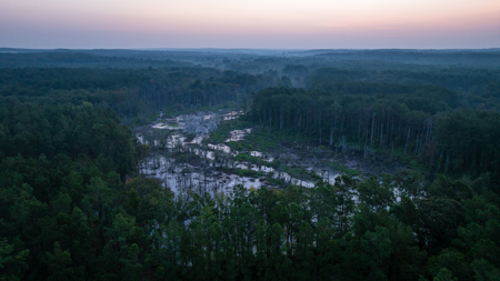 East Texas Recreational Hunting Timberland for Sale Laneville TX - image 28
