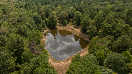 East Texas Hunting & Timber Land for Sale Near Tyler in Smith Co - image 6