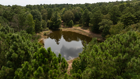 East Texas Hunting & Timber Land for Sale Near Tyler in Smith Co - image 4