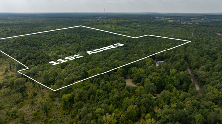 East Texas Hunting & Timber Land for Sale Near Tyler in Smith Co - image 2