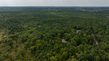 East Texas Hunting & Timber Land for Sale Near Tyler in Smith Co - image 3