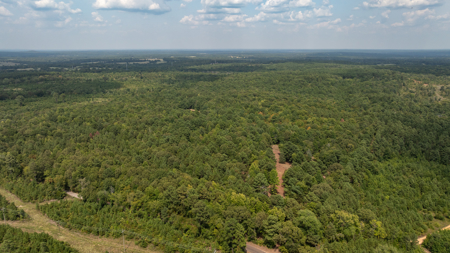 East Texas Hunting & Timber Land for Sale Near Tyler in Smith Co - image 7