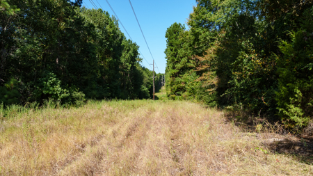 East TX Recreational Ranch for Sale near Overton TX Rusk County - image 15