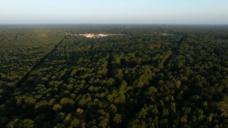 East TX Recreational Ranch for Sale near Overton TX Rusk County - image 3