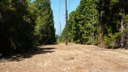 East TX Recreational Ranch for Sale near Overton TX Rusk County - image 11