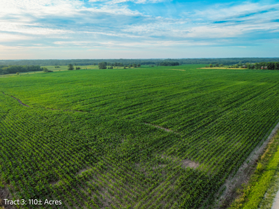 ±110-acre Lucas County farm near Woodburn IA - image 4