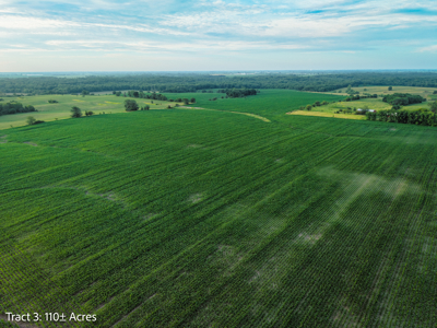 ±110-acre Lucas County farm near Woodburn IA - image 6