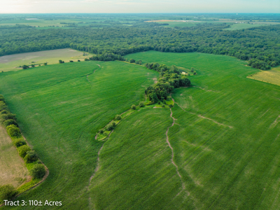 ±110-acre Lucas County farm near Woodburn IA - image 9