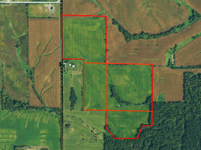 ±110-acre Lucas County farm near Woodburn IA - image 2