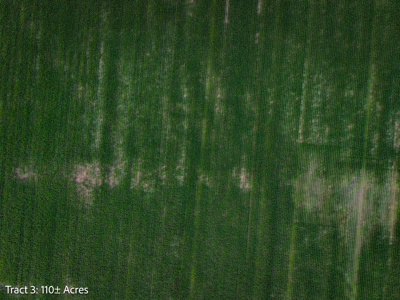 ±110-acre Lucas County farm near Woodburn IA - image 8