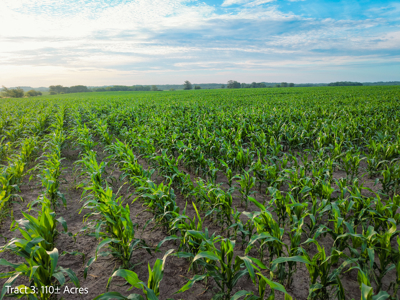 ±110-acre Lucas County farm near Woodburn IA - image 5