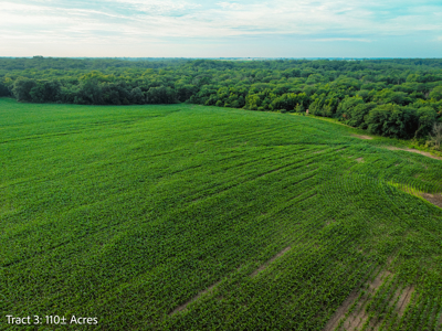 ±110-acre Lucas County farm near Woodburn IA - image 17