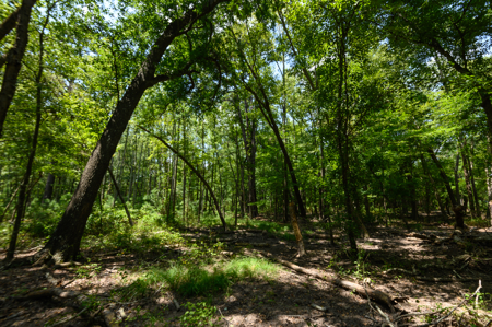East TX Recreational Ranch for Sale Bullard TX with Estate Home - image 17